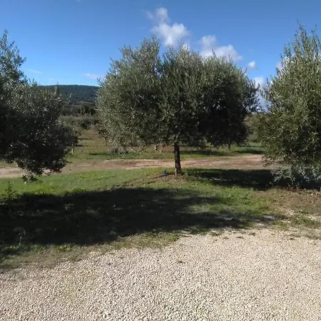 La Romaine Vaison-la-Romaine